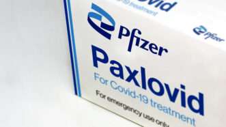 Paxlovid package | Photo 234095177 © Valerio Rosati | Dreamstime.com